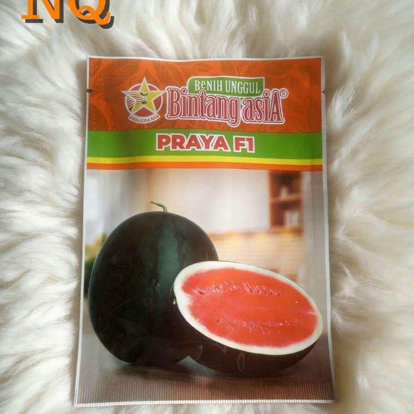 Benih Semangka merah PRAYA F1 20 gr Bintang asiA