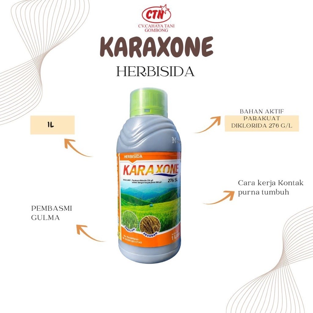 Herbisida Karaxone 1L, mengendalikan rumput liar dengan cara mati seketika