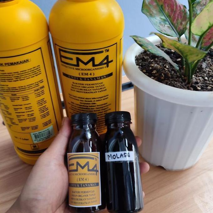 Promo em4 pertanian paket em4+ molase repack 100ml Diskon