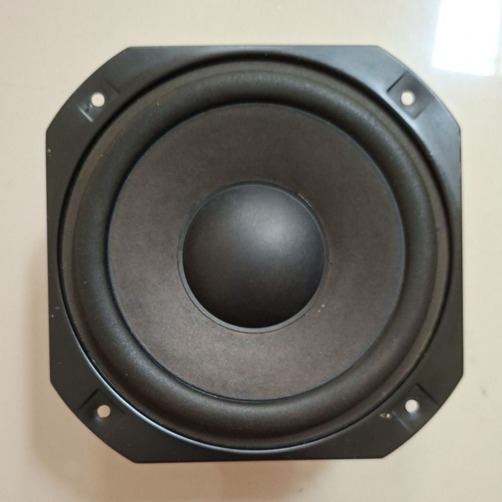 Woofer POLYTRON BIGBAND