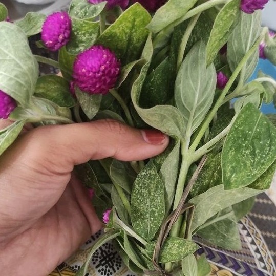 Bunga ratna/daun ratna sarana sembahyang