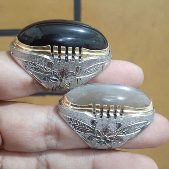 CINCIN ASUR || EMBAN ASUR || IKETAN CINCIN MONEL ASUR