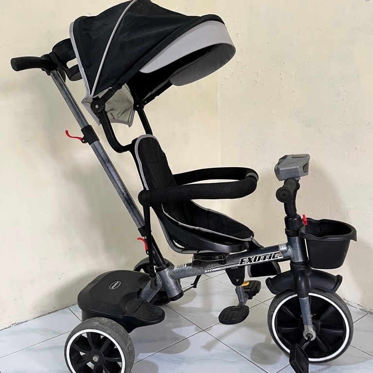 PRELOVED Tricycle Exotic By Pacific ET-1268