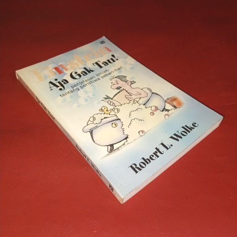 Einstein Aja Gak Tau Buku Original