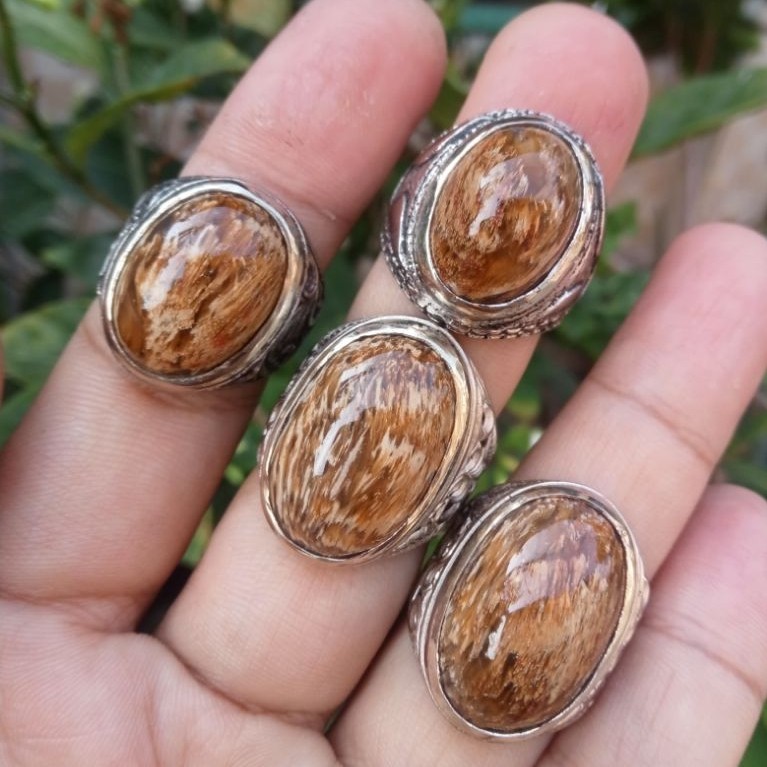 fosil aren / liwung (4pcs)