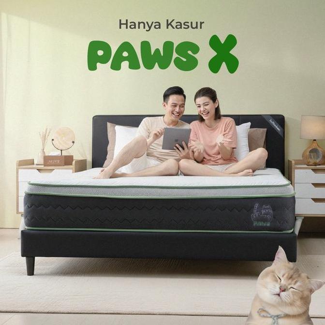 [FREE SOFA KUCING] KASUR INTHEBOX PAWS XTRA