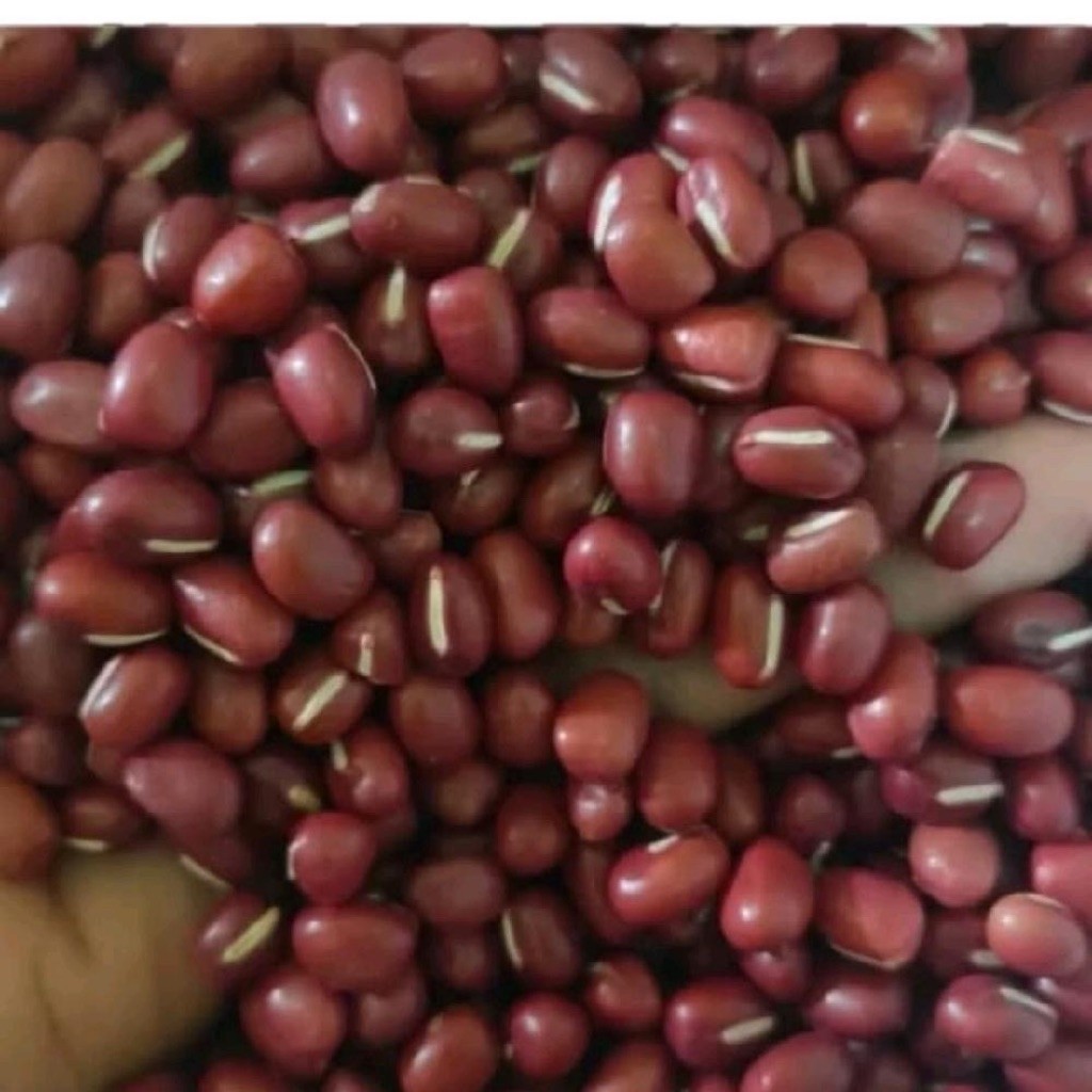 kacang merah import red bean (250g)