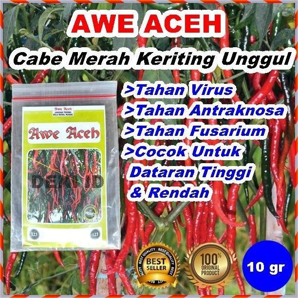 BENIH CABE AWE ACEH BIBIT CMK CABAI MERAH KERITING 10 GRAM