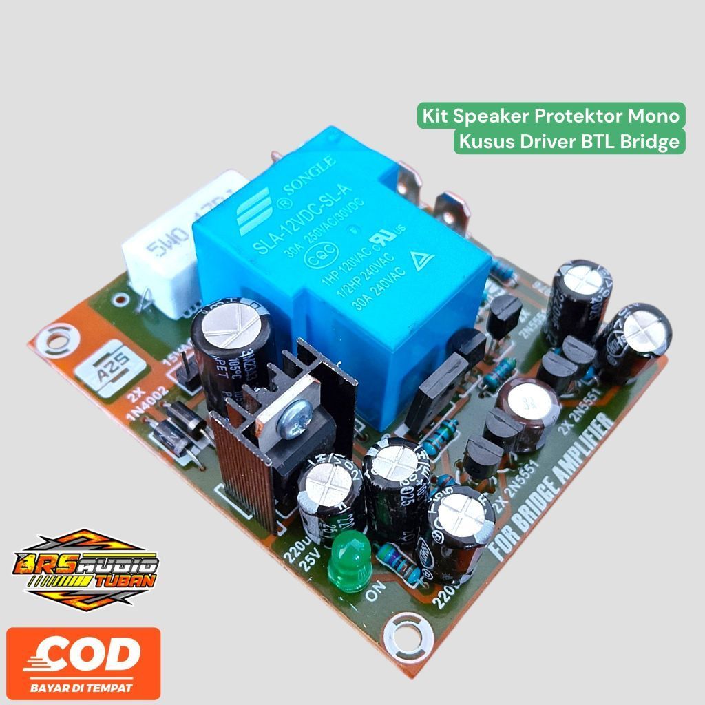 Kit Speaker Protektor Mono Kusus Driver BTL Bridge
