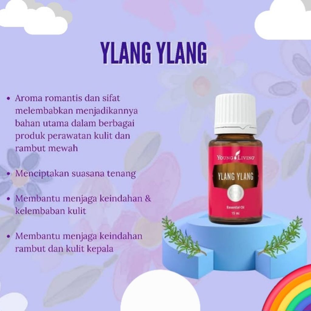 Young Living Ylang Ylang 15ml Release 15ml Abudance 15ml Sacred Mountain 5ml Essential Oil YL Origin