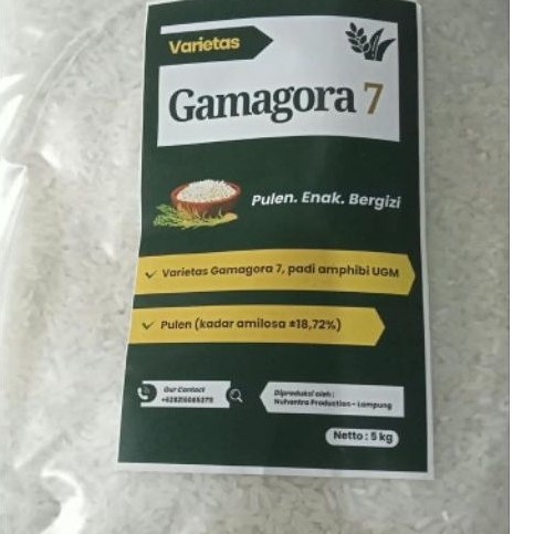 Beras Non Organik Varietas Gamagora 7