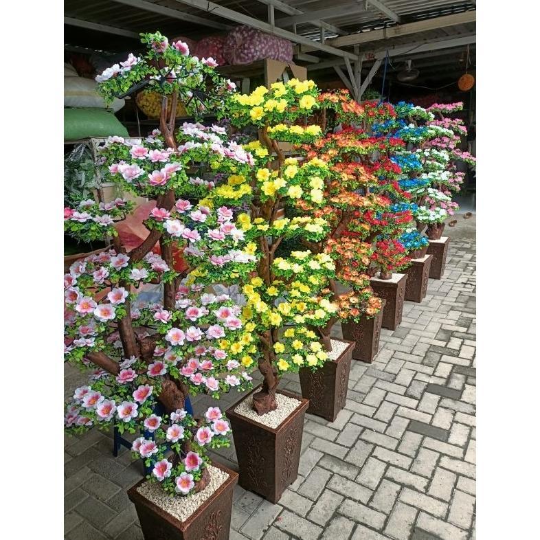 [Bunga set pot] Pohon bonsai hawai ekstra jumbo 200 cm / bunga hiasan sudut ruangan / bunga artifici