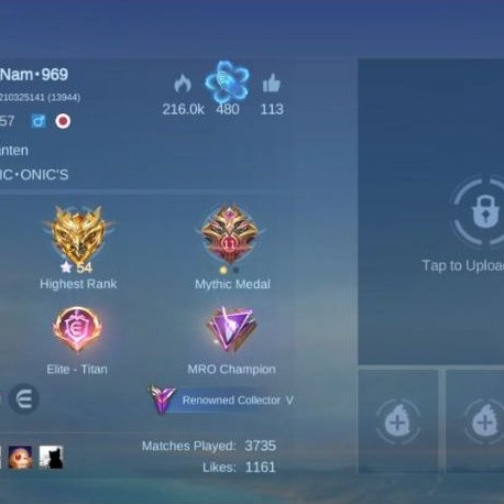 Akun Mobile Legend Emblem max skin banyak