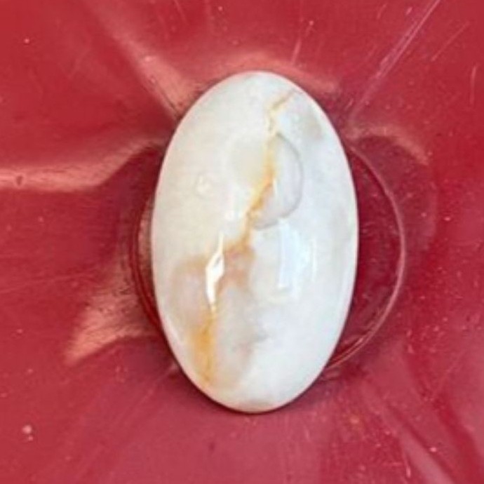 bacan albino cokmer