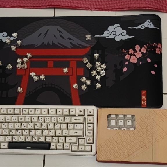 Mechanical keyboard Vortexseries Mono75 & iem KZ EDX PRO