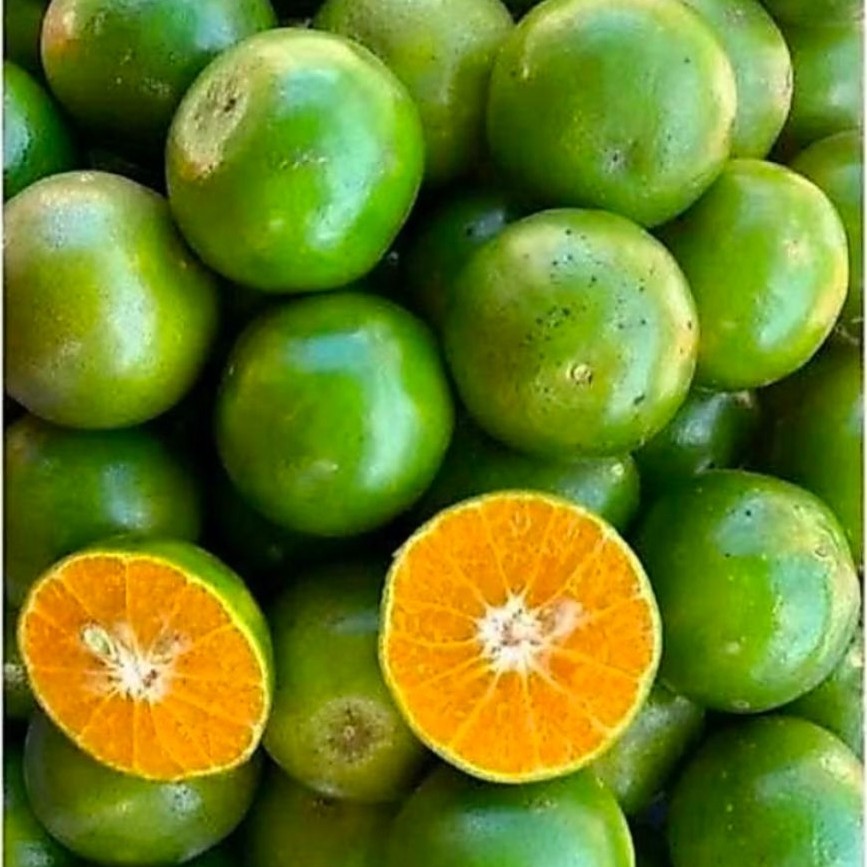 Jeruk Peras Semboro 1kg Jember