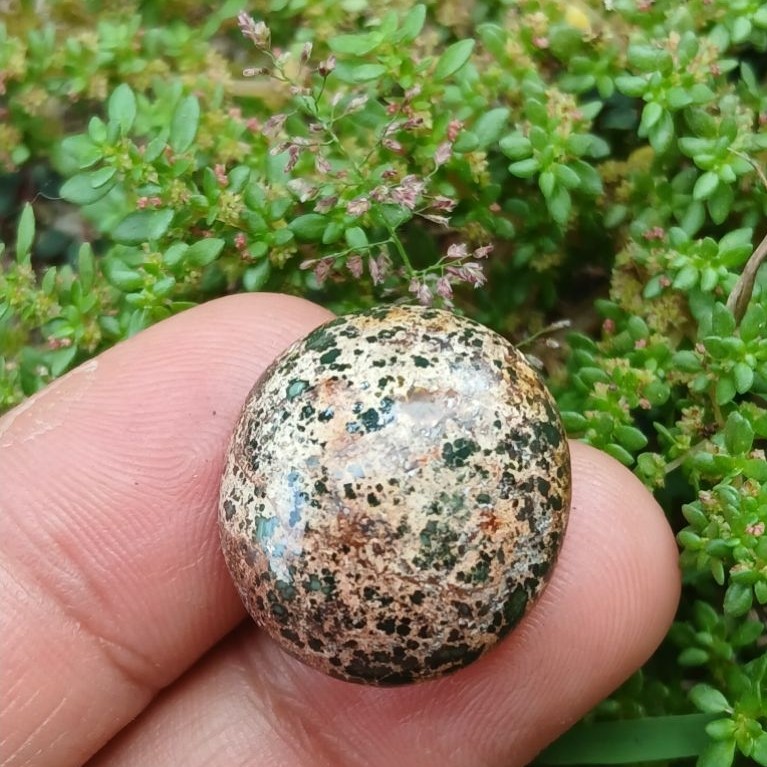 Batu pirus persia iran