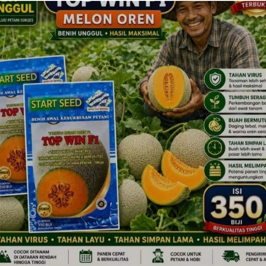 TOP WIN F1 benih melon madu super benih melon golden bibit melon madu super manis
