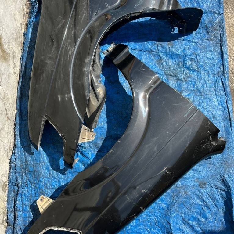 Fender Panther Kapsul Ori Copotan