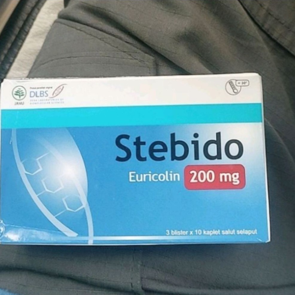 stEBido"