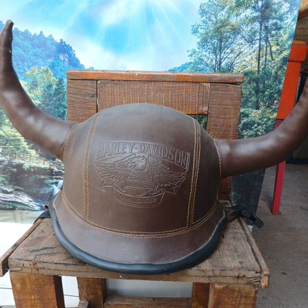 Helm  Tanduk unik