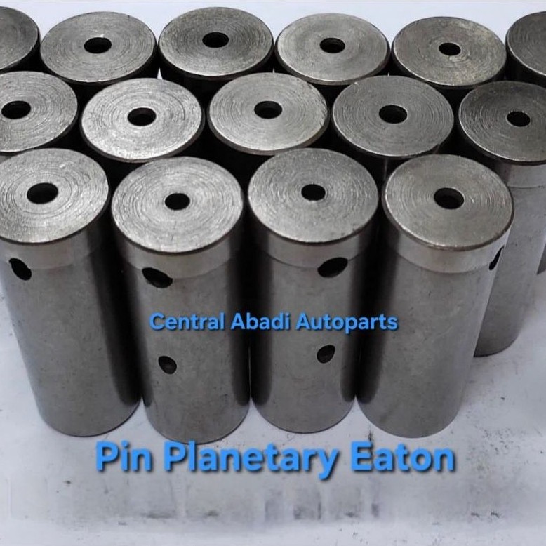 Pin Planetary Eaton Pen Gigi Planet Eaton