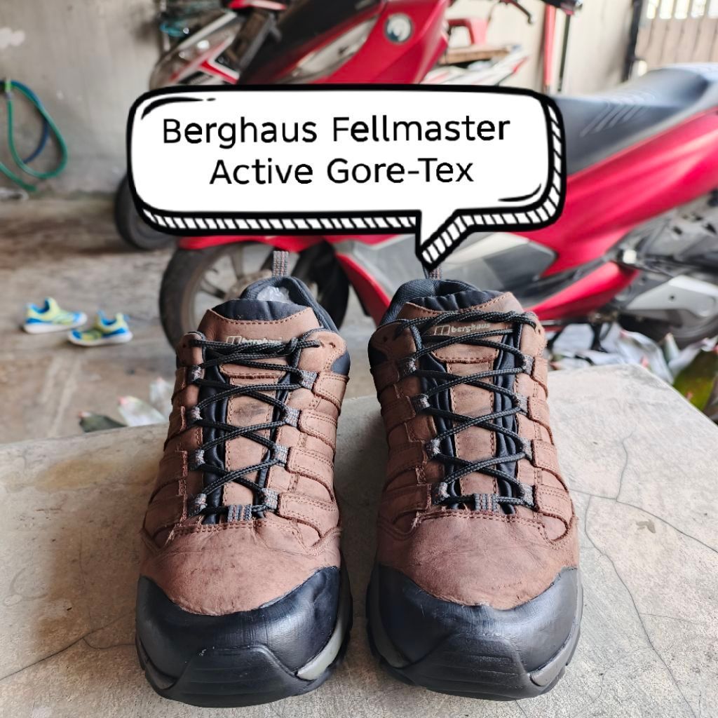 Sepatu Hiking Berghaus Low GTX