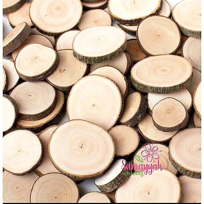 woodslice diameter 7cm -8cm
