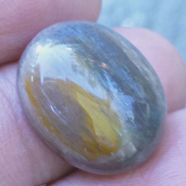 Batu Fosill Kelor Kristal