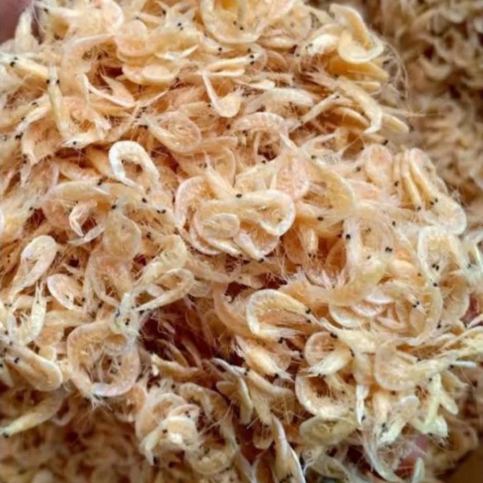 Udang rebon udang grago kering