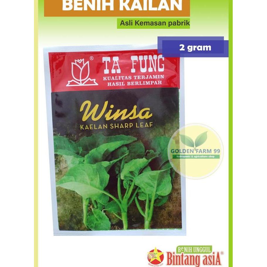 Benih kailan WINSA Ta fung harga terjangkau