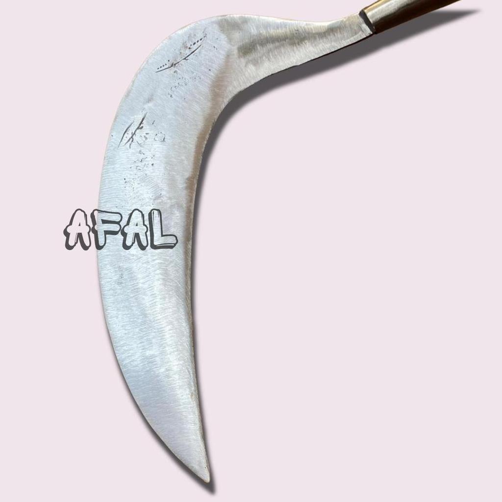 Sabit Garut Potong Rumput Baja Putih Super Tajam - Arit Pengaritan Pakan Ternak - Alat Kebersihan