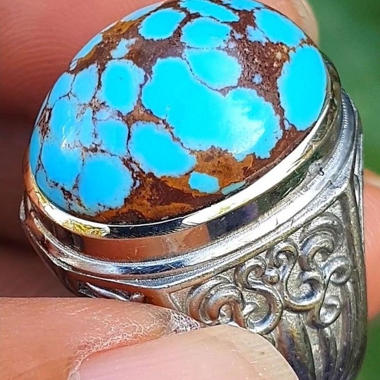 pirus mesir lawasan g89