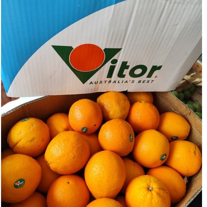 Jeruk Sankist Australia Import Fresh buah segar Sunkist