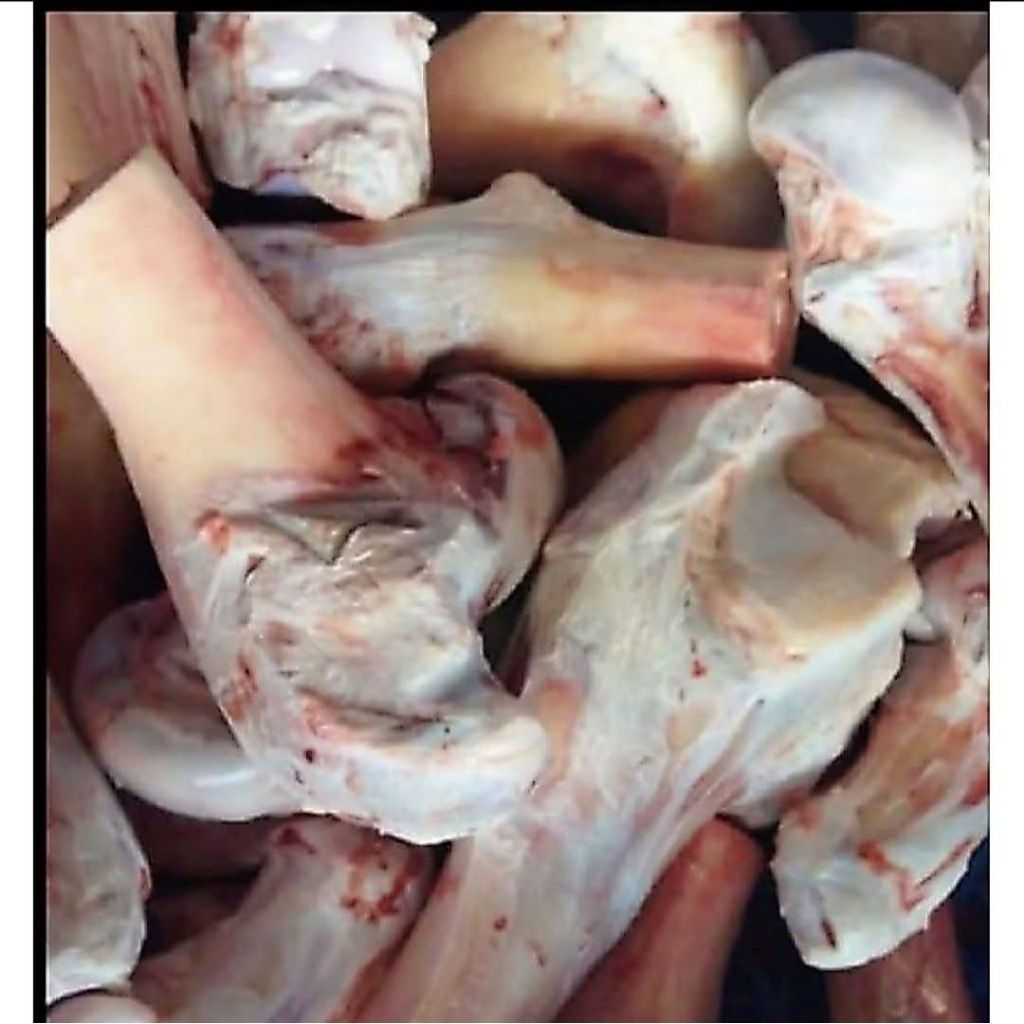 Tulang skengkel sapi untuk kaldu Untuk Sup Beku Aisyah Daging