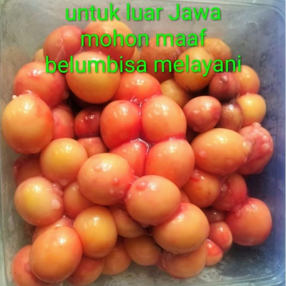 telur biawak muda per bungkus isi 100gram, khusus telur uritan untuk luar Jawa mohon maaf kami belum