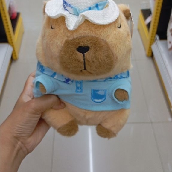 boneka capybara pake topi ukuran ± 20cm Dari Mr DIY