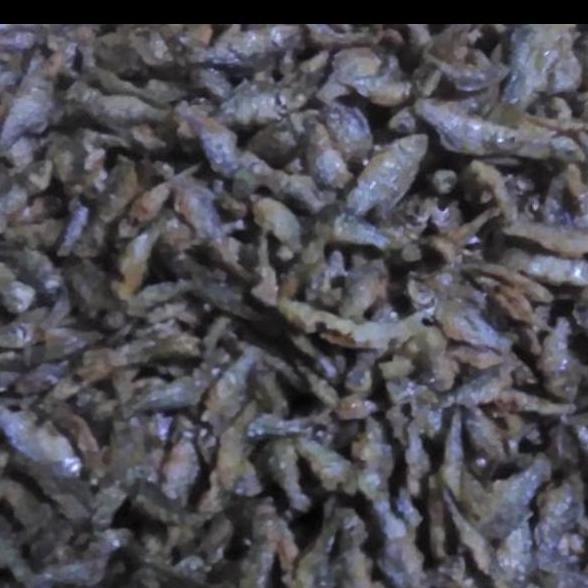 BABY FISH/IKAN CRISPY/IKAN WADER GORENG DADAKAN 1kg