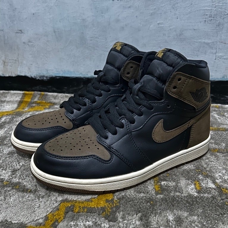 Jordan High Palomino