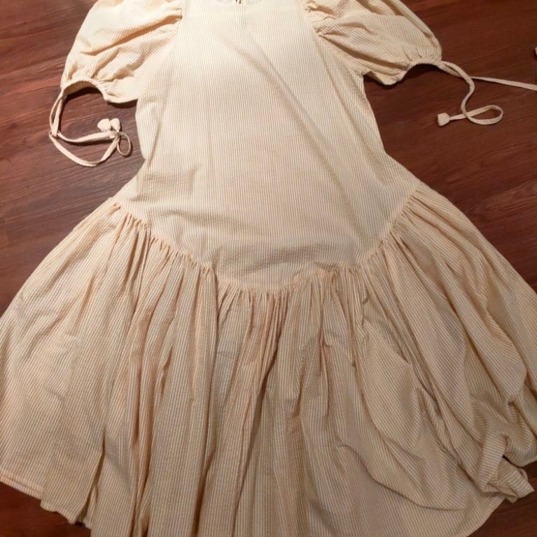 the story of dress