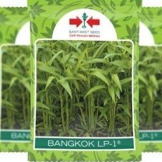 ( 10 Bungkus ) Benih Kangkung Bangkok 1 Kg Panah Merah Grosir Per Dus Kangkung Panah Merah