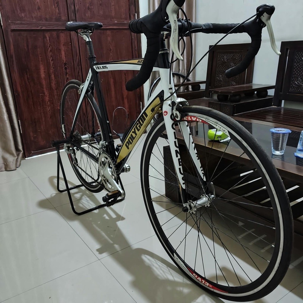 polygon Helios 600 size 56