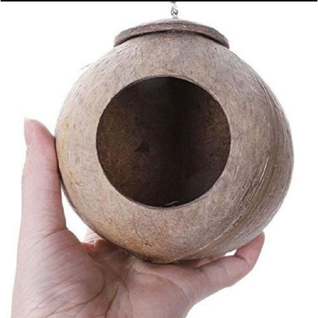 Batok Kelapa Sarang Burung, Bajing, dll