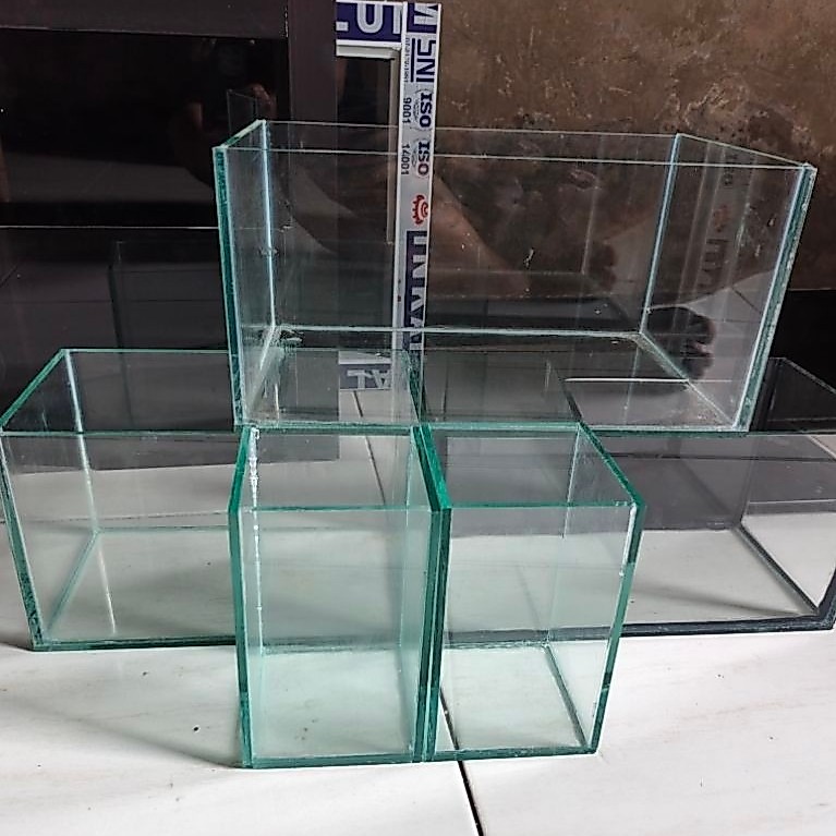aquarium mini soliter cupang 10*10*15 kaca 5mm