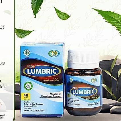 PST San X Bioth L Pro Lumbric Probiotik Herbal Alami 40 Kapsul Membantu Mengatasi Masalah Lambung Ma