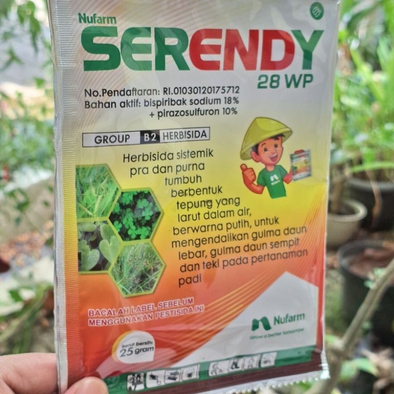 Serendy 28WP Herbisida Selektif Padi Ampuh Aman