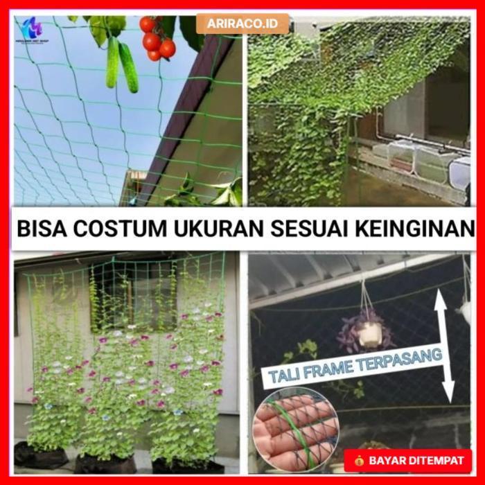 Jaring tanaman rambat buah/Jaring rambatan tanaman/Jaring tanaman merambat