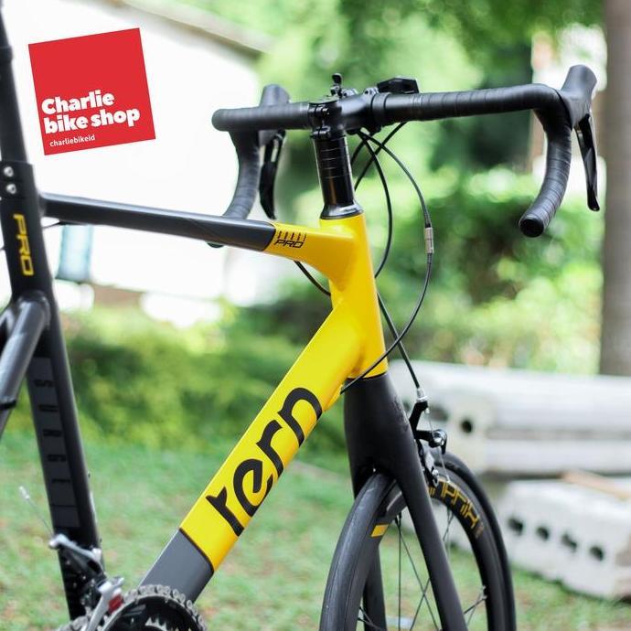 Sepeda Fullbike Mini Velo TERN21 Surge Pro - Sepeda Tern