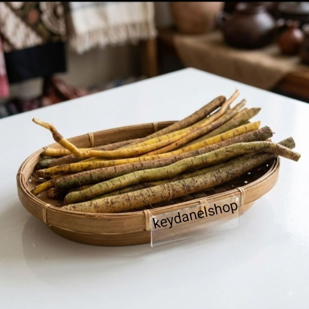 Akar tuba akar jenu segar 500gram