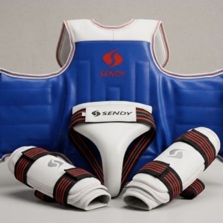 Body Protector Taekwondo Sendy Motif Tribal Dua Sisi - Reversible, Ukuran 1 preloved
